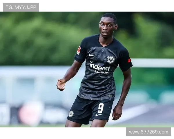 《德甲各支球队主要国脚球员介绍与国家队表现》