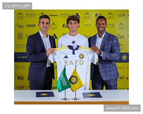 法甲里昂年度转会总结与新加盟球员表现